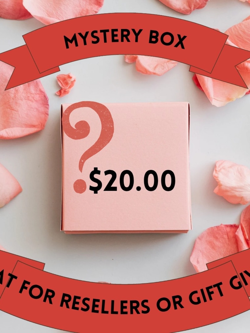 Mystery Plus Size Lingerie Box